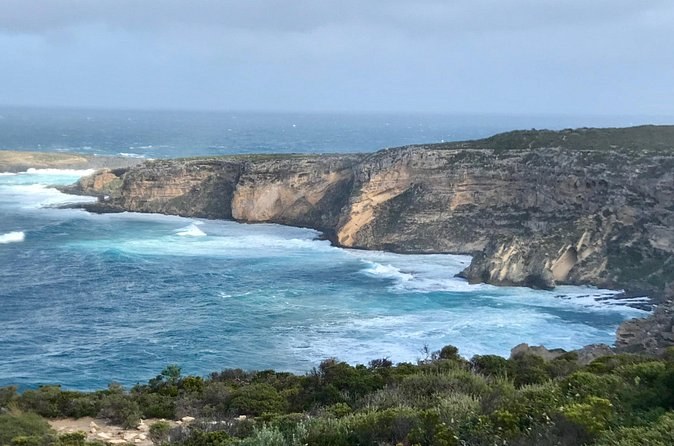 Kangaroo Island Small‑Group Scenic & Wildlife Day Tour