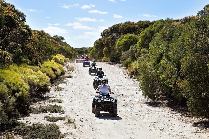 A line of quad bikes following a guide along a sandy track between green scrub