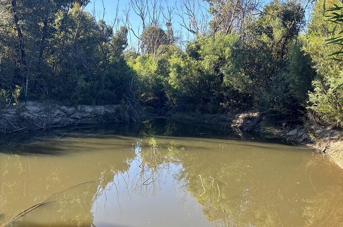 A still waterhole ringed by trees and scrub